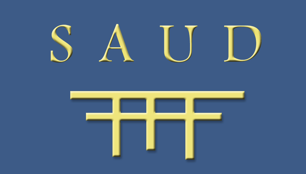 SAUD symbol — a torii-like grid representing observation and knowledge